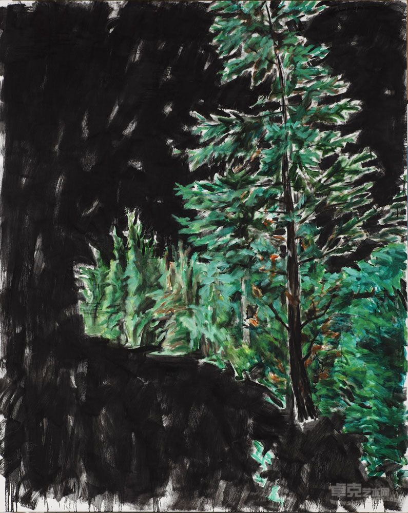 黑色背景的树和草丛250x200cm