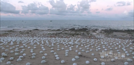 施少平《莫非·卵》中国自然地貌展——北海站纪录片
